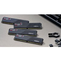 Ripjaws S5 2x32ГБ DDR5 6000 МГц F5-6000J2836G32GX2-RS5K Ripjaws S5 2x32ГБ DDR5 6000 МГц F5-6000J2836G32GX2-RS5K