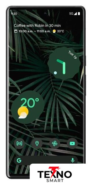 Pixel 6 8GB/256GB (черный) Pixel 6 8GB/256GB (черный)