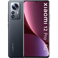 12 Pro 12GB/256GB международная версия (серый)