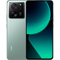 13T Pro 12GB/512GB международная версия (зеленый луг)